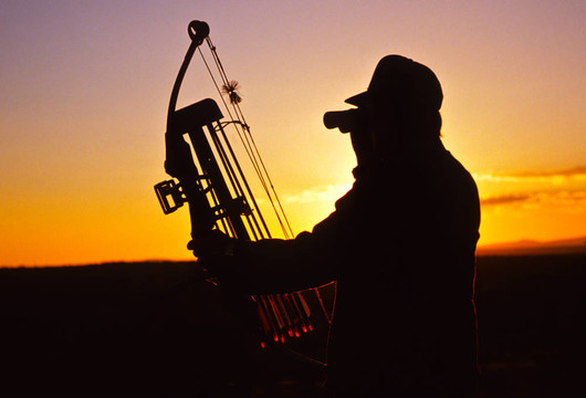 Bowhunter Glassing在森塞特