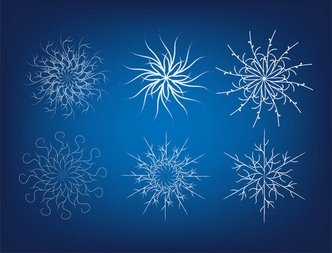 雪花；載體