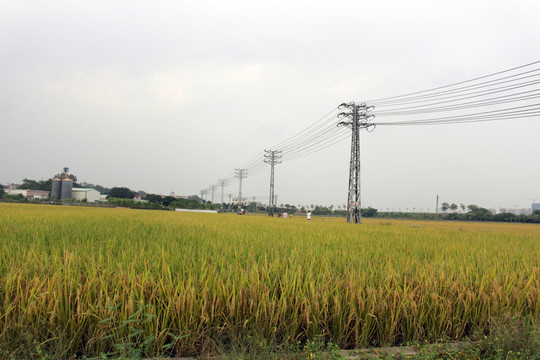 田野之上