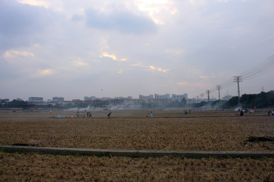 農(nóng)田