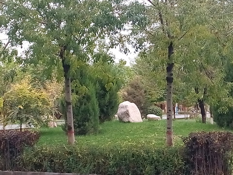 公園即景