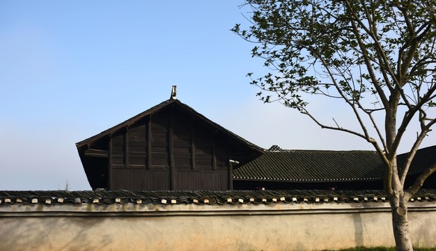 屋頂