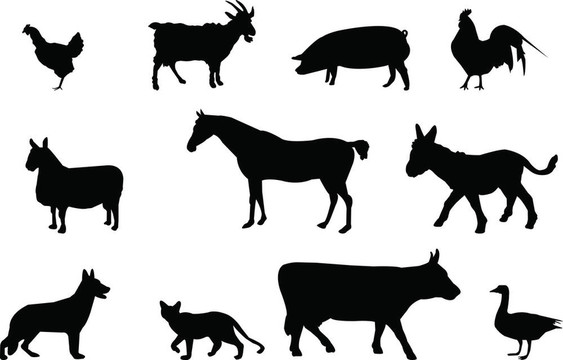 農(nóng)場(chǎng)動(dòng)物的輪廓