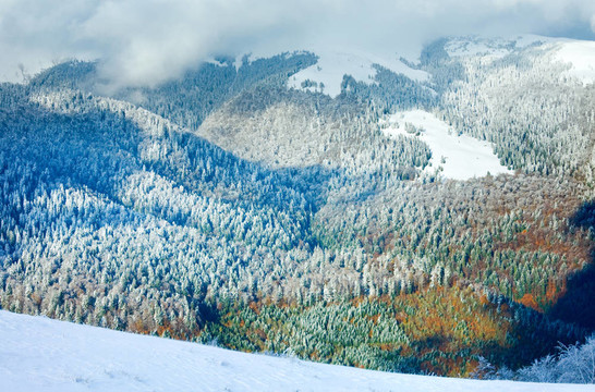 第一個冬天的雪和去年秋天五顏六色的樹葉在山上