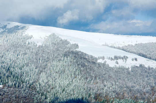 第一個(gè)冬天的雪和去年秋天五顏六色的樹葉在山上