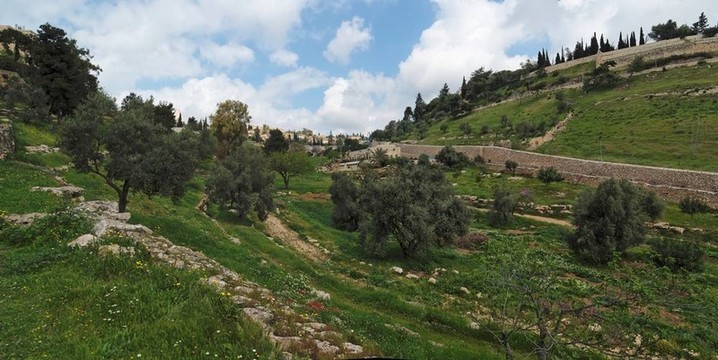 Gehenna（嫩子）在耶路撒冷老城區(qū)附近的山谷