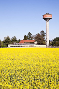 國家和水塔