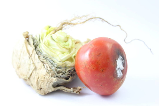 蔬菜蔬菜