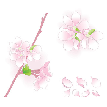 蘋果花元素。