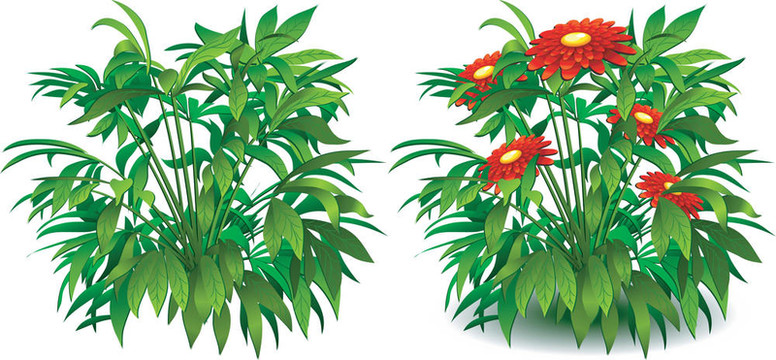 花白色