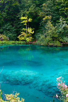 綠松石湖