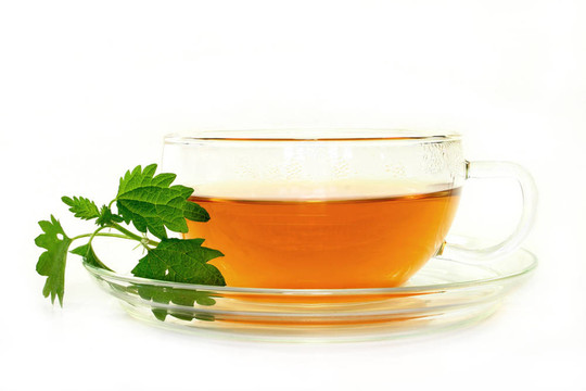 蕁麻茶