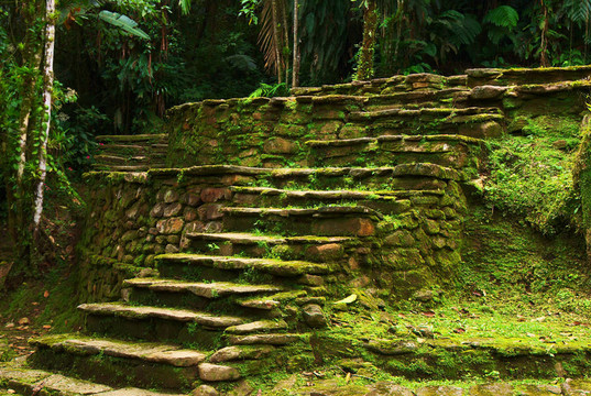 古老的石头楼梯在Ciudad佩尔迪达平台；通过Tayrona的人了。该遗址在哥伦比亚北部靠近圣玛尔塔