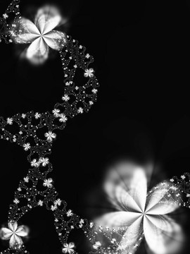Garland的花
