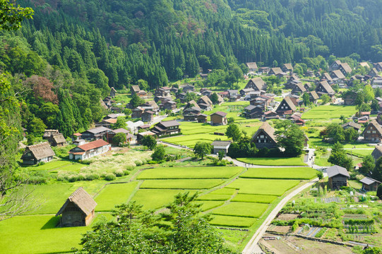 Ogimachi村