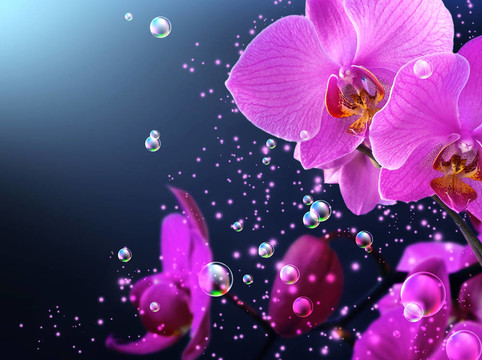 蘭花和蝴蝶