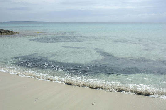 福門特拉島海灘