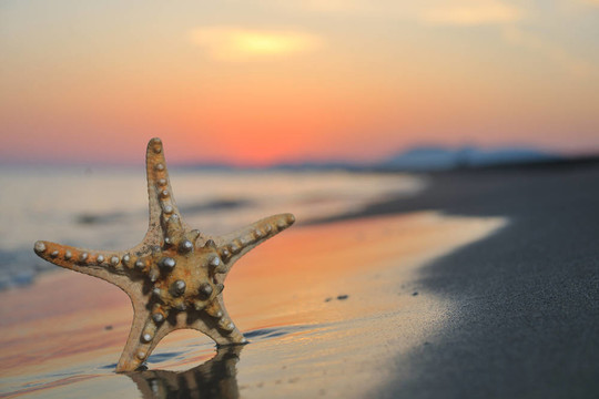 沙灘上的夏天海灘上的日落