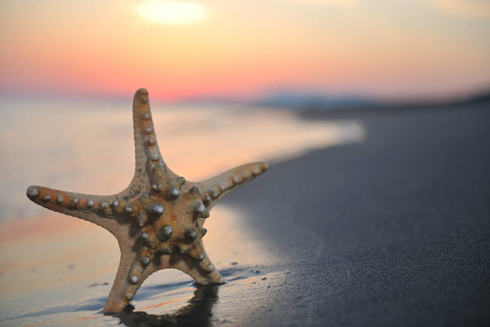 沙灘上的夏天海灘上的日落