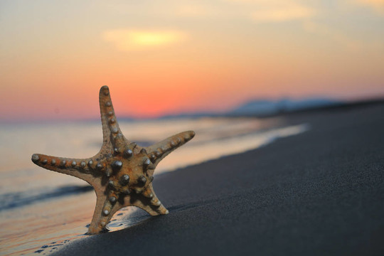 沙灘上的夏天海灘上的日落