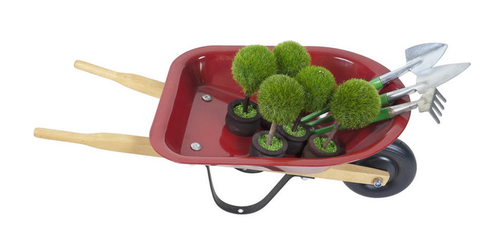 植物和工具手推車(chē)