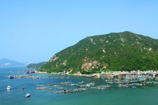 在香港，從山頂上看海