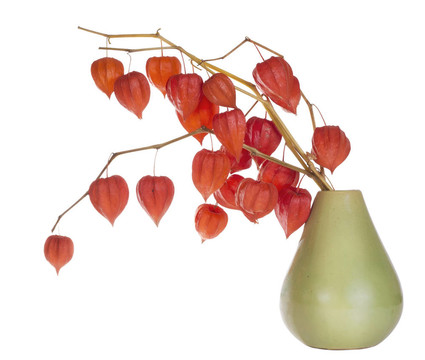 樹(shù)枝上的紅心