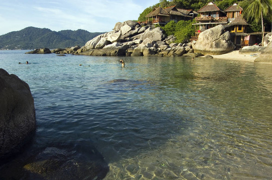 海灘附近的廊詹森灣龜島島上