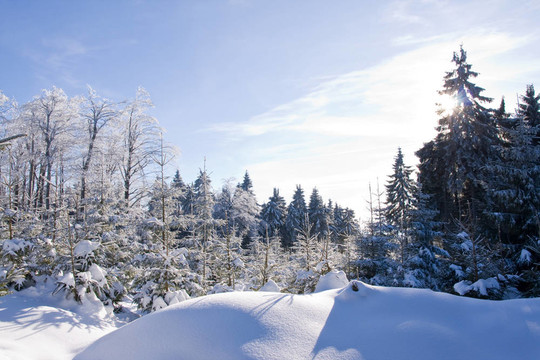 山上的新鮮雪