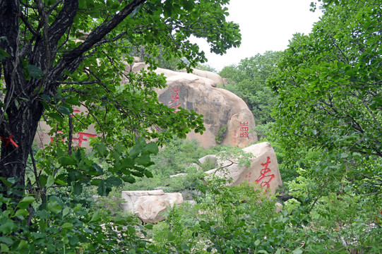 長(zhǎng)壽山