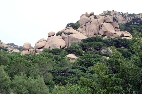 長(zhǎng)壽山