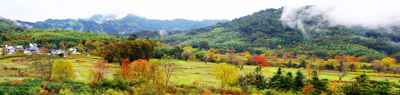 塔川秋色  大寬幅全景