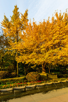 離堆公園