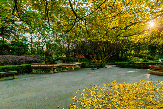 離堆公園