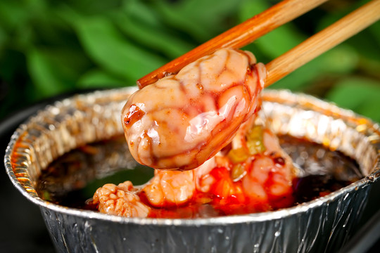 鮮豬腦