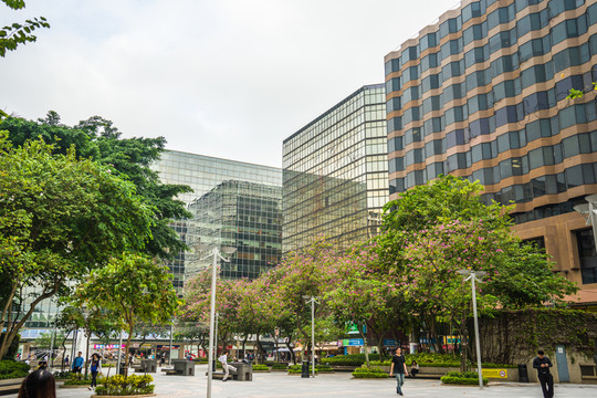 香港風光