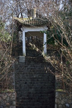 亭子