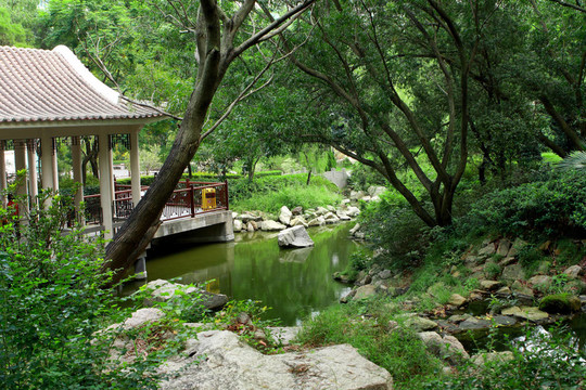 中國(guó)傳統(tǒng)園林