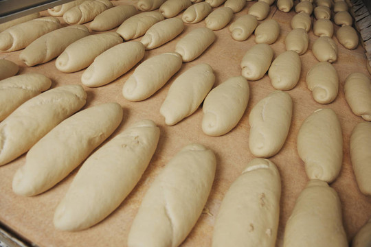 面包廠生產(chǎn)