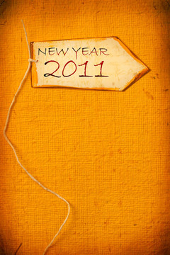 2011年