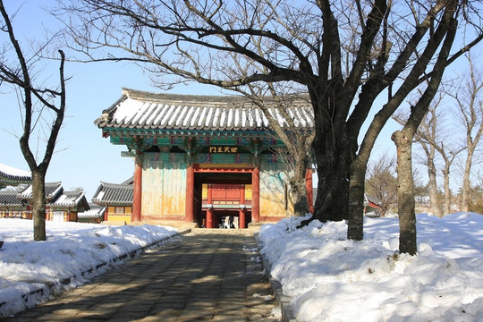 韓國現(xiàn)場