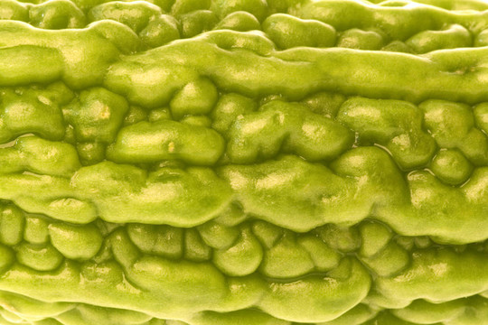 小Bitter Gourd Macro