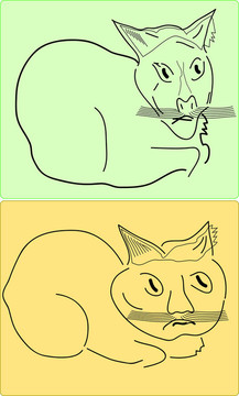 兩只貓
