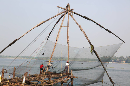 中國(guó)fishernets Kochi