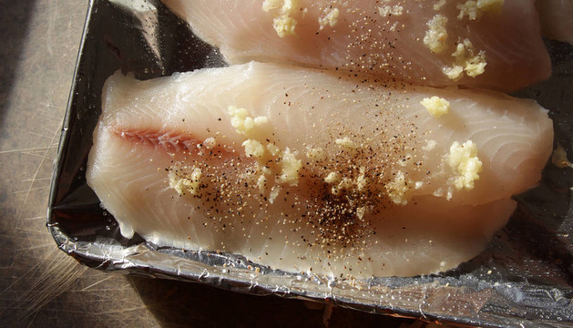 求購(gòu)羅非魚(yú)片