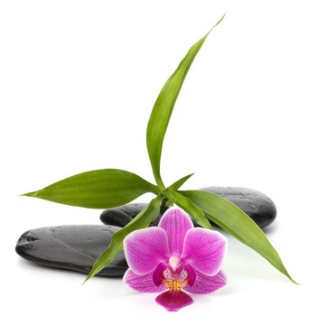 禪石路徑。水療和保健概念。