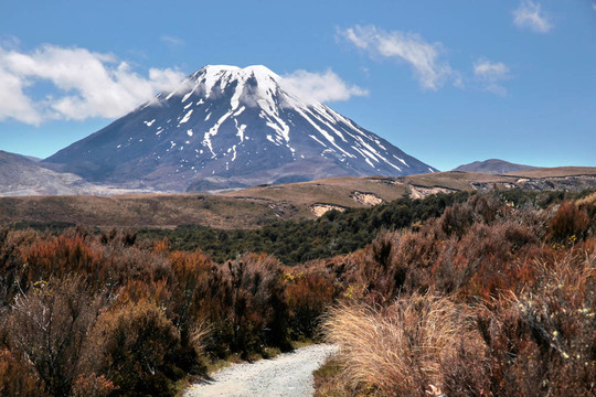 在湯加里羅國家公園山