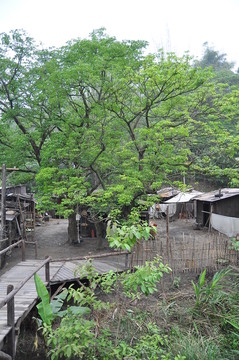 小木屋