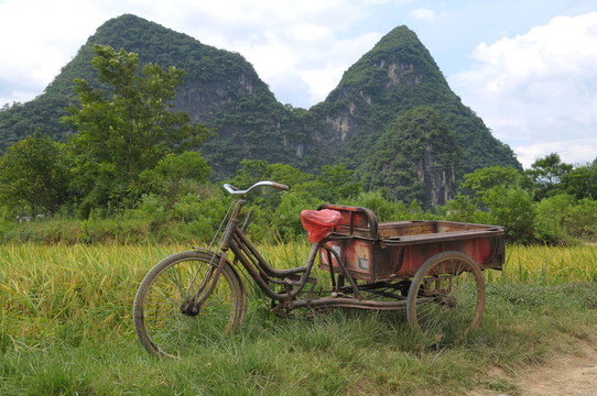 自行車車