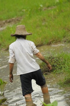 領(lǐng)域中的中國(guó)女性